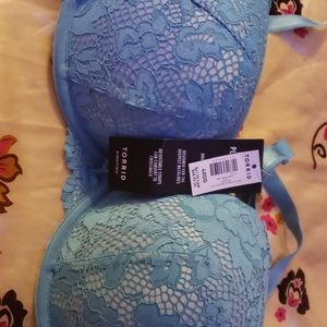 Torrid Bras